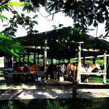 Bar-B-Ranch - Horseback Riding Near Me - Davie, Florida Bar-B-Ranch - Horseback Riding Near Me - Davie, Florida