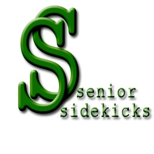 Senior Sidekicks - home care agency in Springfield, IL