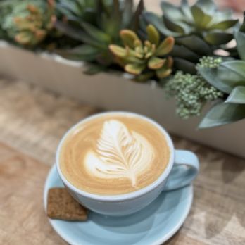 Pura Vida Miami - Breakfast & Brunch Near Me - Miami, Florida Pura Vida Miami - Breakfast & Brunch Near Me - Miami, Florida
