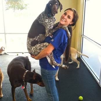 Pappy's Pet Lodge - Pet Training Near Me - Plano, Texas Pappy's Pet Lodge - Pet Training Near Me - Plano, Texas