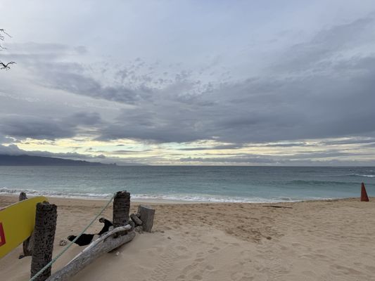 Baldwin Beach Park by null