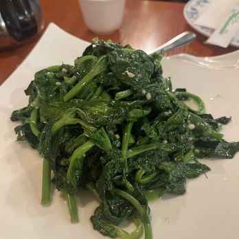 Szechuan Chef - Szechuan Near Me - Bellevue, Washington