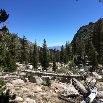 Onion Valley Campground - Campgrounds Near Me - Independence, California