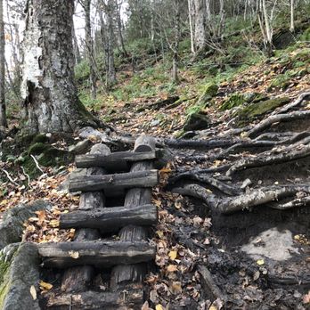Stowe Pinnacle - On the trail - Hiking Near Me - Stowe, Vermont