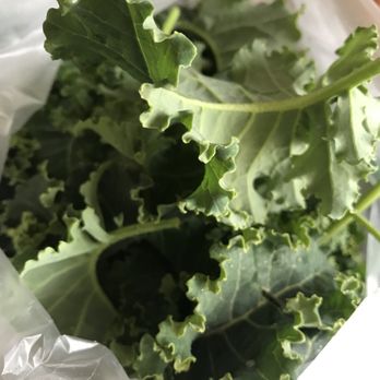 Easy Pickin's Orchard - Fruits & Veggies Near Me - Enfield, Connecticut