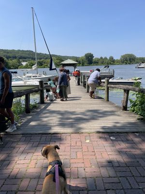 Ithaca Farmers Market by null