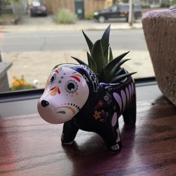 Tavo's Antojitos y Tequila - Mexican Near Me - Rochester, New York