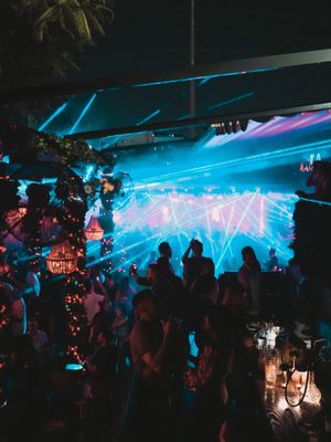 Mayami Wynwood by null