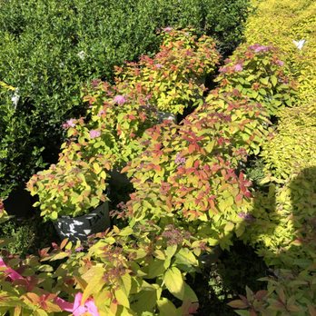 Hewitt Garden & Design Center - Nurseries & Gardening Near Me - Franklin, Tennessee