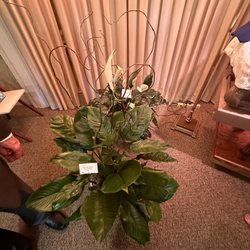Sullivan-Ellis Mortuary - Service plant