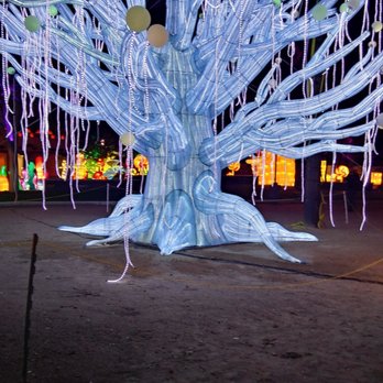 Dragon Lights Albuquerque - Festivals Near Me - Albuquerque, New Mexico