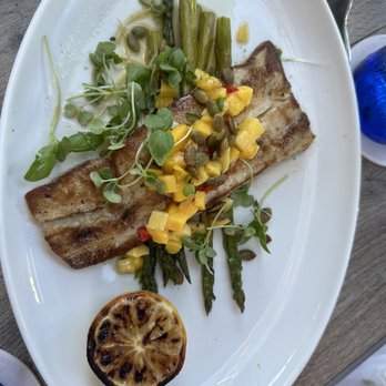 Oceanic - Mahi-Mahi* - Seafood Near Me - Pompano Beach, Florida Oceanic - Mahi-Mahi* - Seafood Near Me - Pompano Beach, Florida