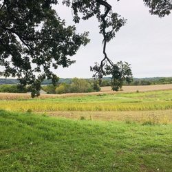 The Tree Farm - The Farm!