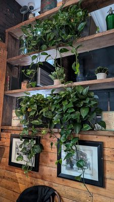 The Hamilton Inn by null