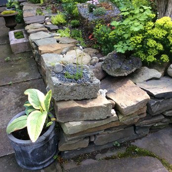 Botanical Treasures - Nurseries & Gardening Near Me - Franklin, New York