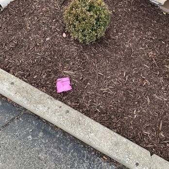 Outback Steakhouse - More trash - Steakhouses Near Me - Indianapolis, Indiana Outback Steakhouse - More trash - Steakhouses Near Me - Indianapolis, Indiana