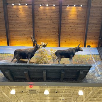 Cabela's - Guns & Ammo Near Me - Fort Mill, South Carolina Cabela's - Guns & Ammo Near Me - Fort Mill, South Carolina