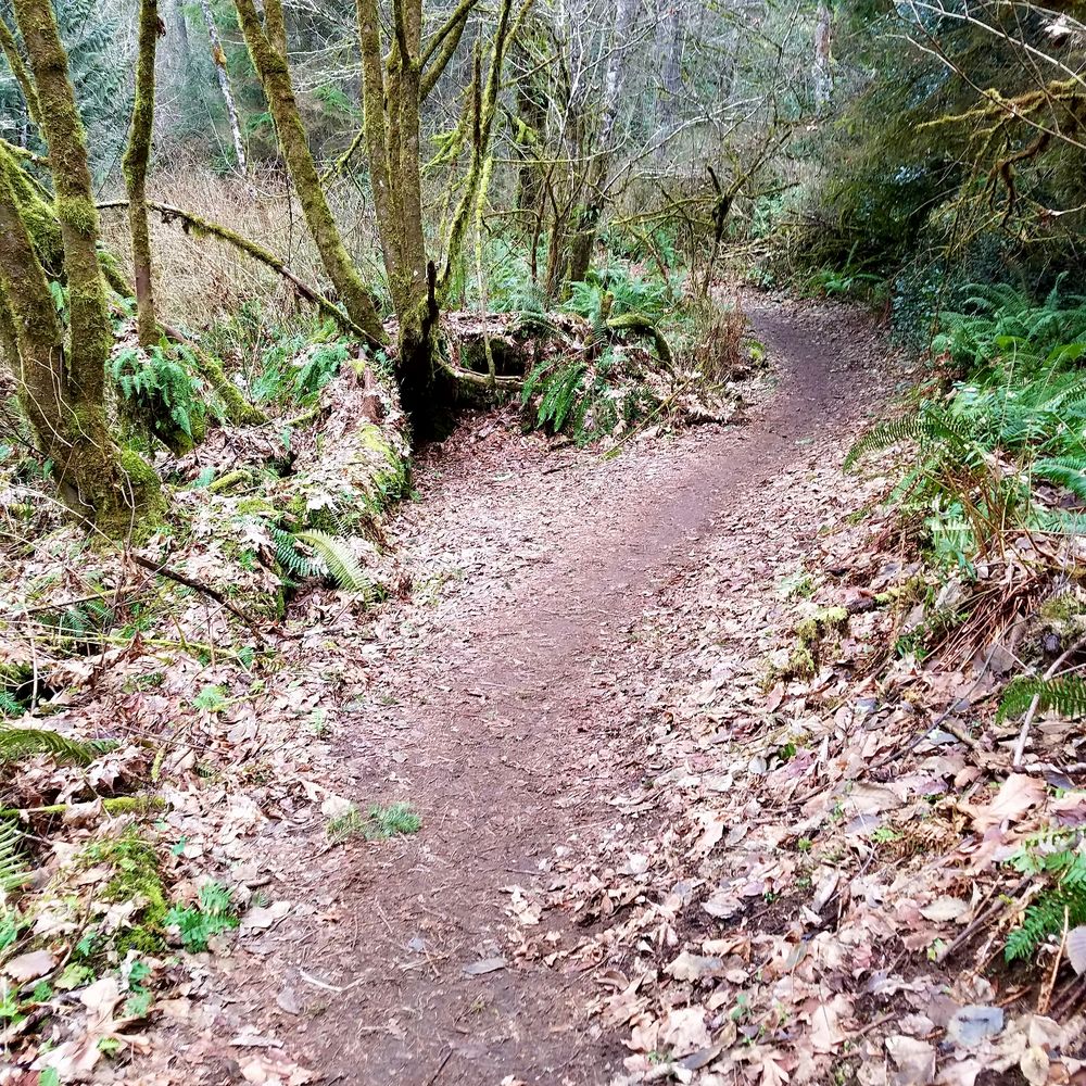 Tolmie State Park - Parks Near Me - Olympia, Washington Tolmie State Park - Parks Near Me - Olympia, Washington