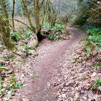 Tolmie State Park - Parks Near Me - Olympia, Washington