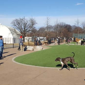 Patterson Dog Park - Dog Parks Near Me - Baltimore, Maryland