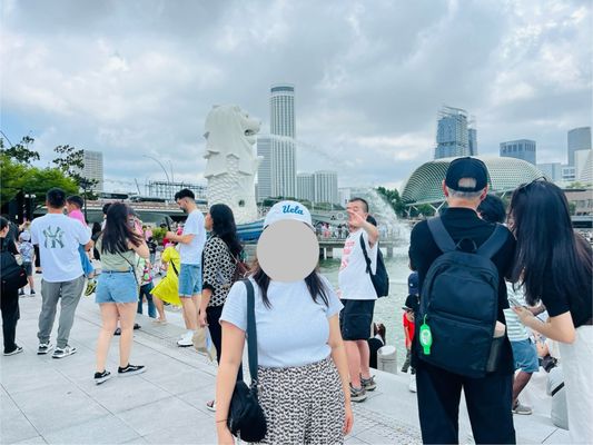 Merlion Park by null