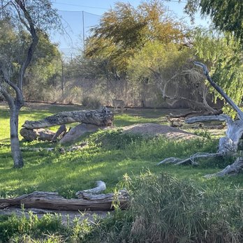 Phoenix Zoo - Zoos Near Me - Phoenix, Arizona Phoenix Zoo - Zoos Near Me - Phoenix, Arizona