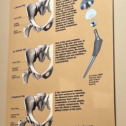Virtua Reconstructive Orthopedics