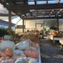 Photo of Lapp's Greenhouse