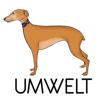 Umwelt Dog Training - Pet Training Near Me Umwelt Dog Training - Pet Training Near Me