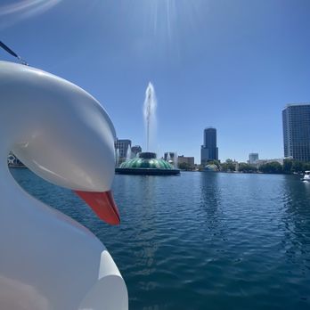 Swan Boat Rentals - Boating Near Me - Orlando, Florida Swan Boat Rentals - Boating Near Me - Orlando, Florida
