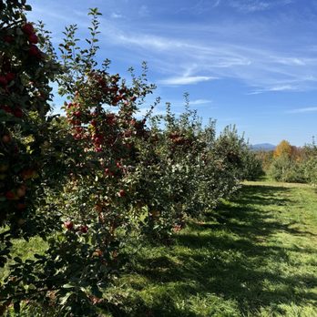 Windy Ridge Orchard - Specialty Food Near Me - North Haverhill, New Hampshire Windy Ridge Orchard - Specialty Food Near Me - North Haverhill, New Hampshire