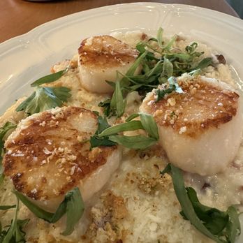 Evelyn's - Scallop - Wine Bars Near Me - Nashville, Tennessee Evelyn's - Scallop - Wine Bars Near Me - Nashville, Tennessee