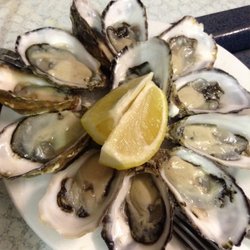 Mooloolah River Fisheries