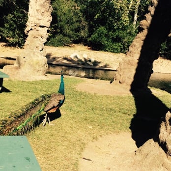 Irvine Regional Park - Parks Near Me - Orange, California Irvine Regional Park - Parks Near Me - Orange, California