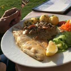 Gasthof Am Speicher - Zanderfilet mit Waldpilzen und Petersilienkartoffeln