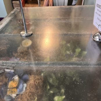 Biscuit Head - Cafes Near Me - Asheville, North Carolina