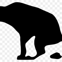 South Shore Dog Waste Removal