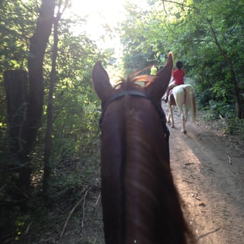 Foster Farm - Trail riding with show horses was a fun adventure! - Horseback Riding Near Me - Rowlett, Texas