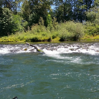 Fins and Scales Guide Service - Boat Charters Near Me