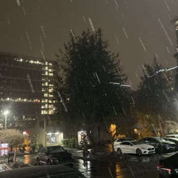 Boiling Point - Snowyyy - Taiwanese Near Me - Bellevue, Washington