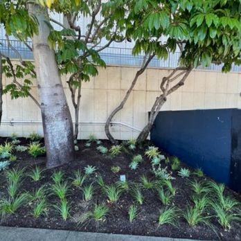Bolanos Landscape - Landscaping Near Me Bolanos Landscape - Landscaping Near Me