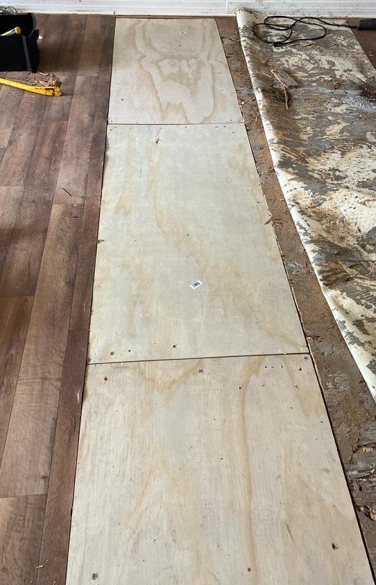 Slide of Fundora’s Brother’s