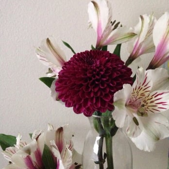 Unlimited Flowers - Florists Near Me - Miami, Florida Unlimited Flowers - Florists Near Me - Miami, Florida