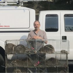 Admiral Wildlife Services