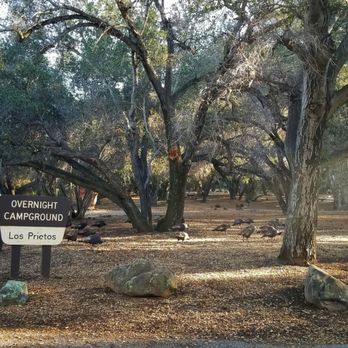 Los Prietos Campground - Campgrounds Near Me - Santa Barbara, California Los Prietos Campground - Campgrounds Near Me - Santa Barbara, California