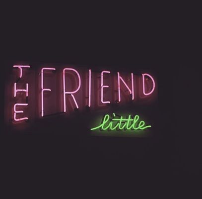 The Little Friend by null