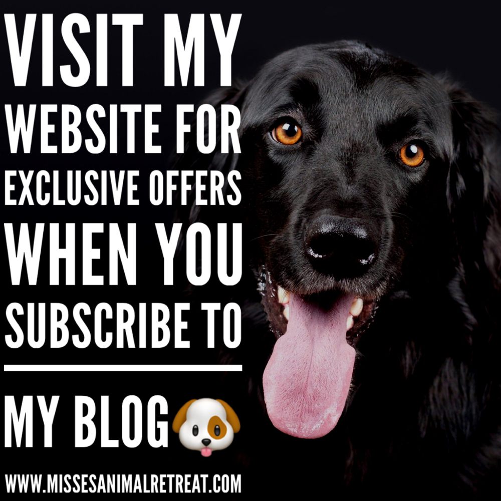 MISS E’S ANIMAL RETREAT Updated August 2024 74 Photos 415 E