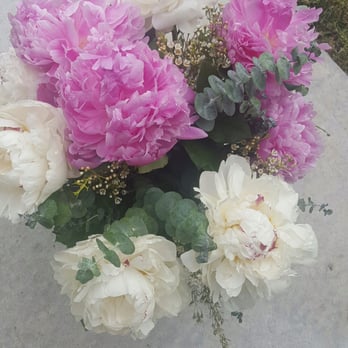 Timeless Blossoms - San Diego Flower Delivery - Peonies! - Florists Near Me - San Diego, California Timeless Blossoms - San Diego Flower Delivery - Peonies! - Florists Near Me - San Diego, California