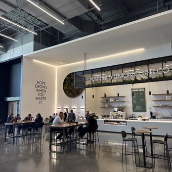Lavender & Lemon - Amazing new coffee shop on west side of Houston off Beltway - Coffee & Tea Near Me - Houston, Texas Lavender & Lemon - Amazing new coffee shop on west side of Houston off Beltway - Coffee & Tea Near Me - Houston, Texas