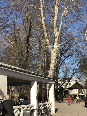 Müggelsee by null